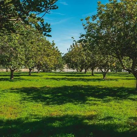 Casa De Cacela בית כפרי וילה נובה דה קסלה