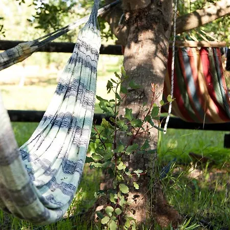 卡萨代卡塞拉韦旅馆 *